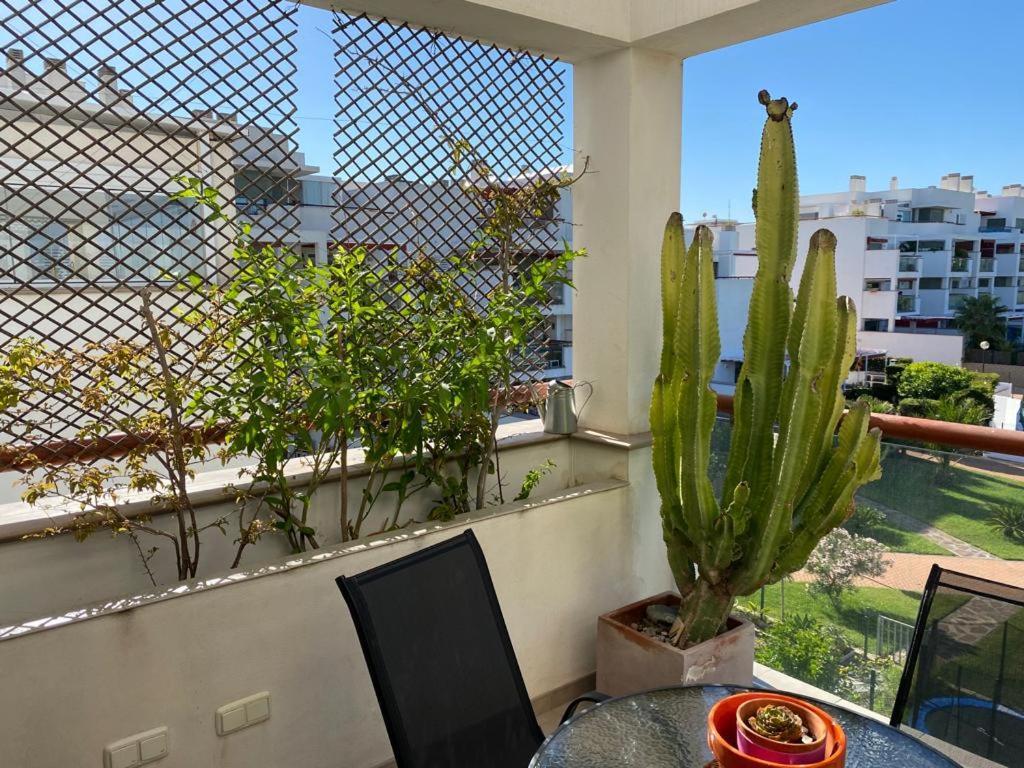 Apartamento Cabo De Gata-Toyo Apartment Retamar  Luaran gambar